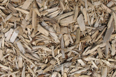 biomass boilers Cockayne