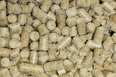 Cockayne biomass boiler costs