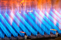 Cockayne gas fired boilers